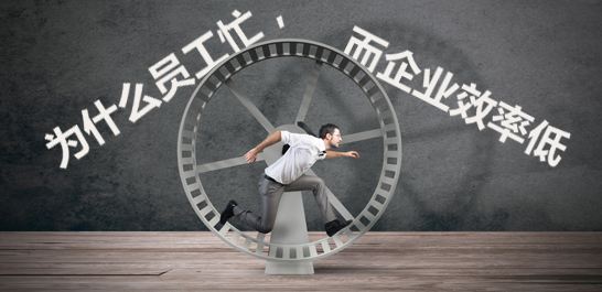 1545732780873330.jpg 效率.jpg